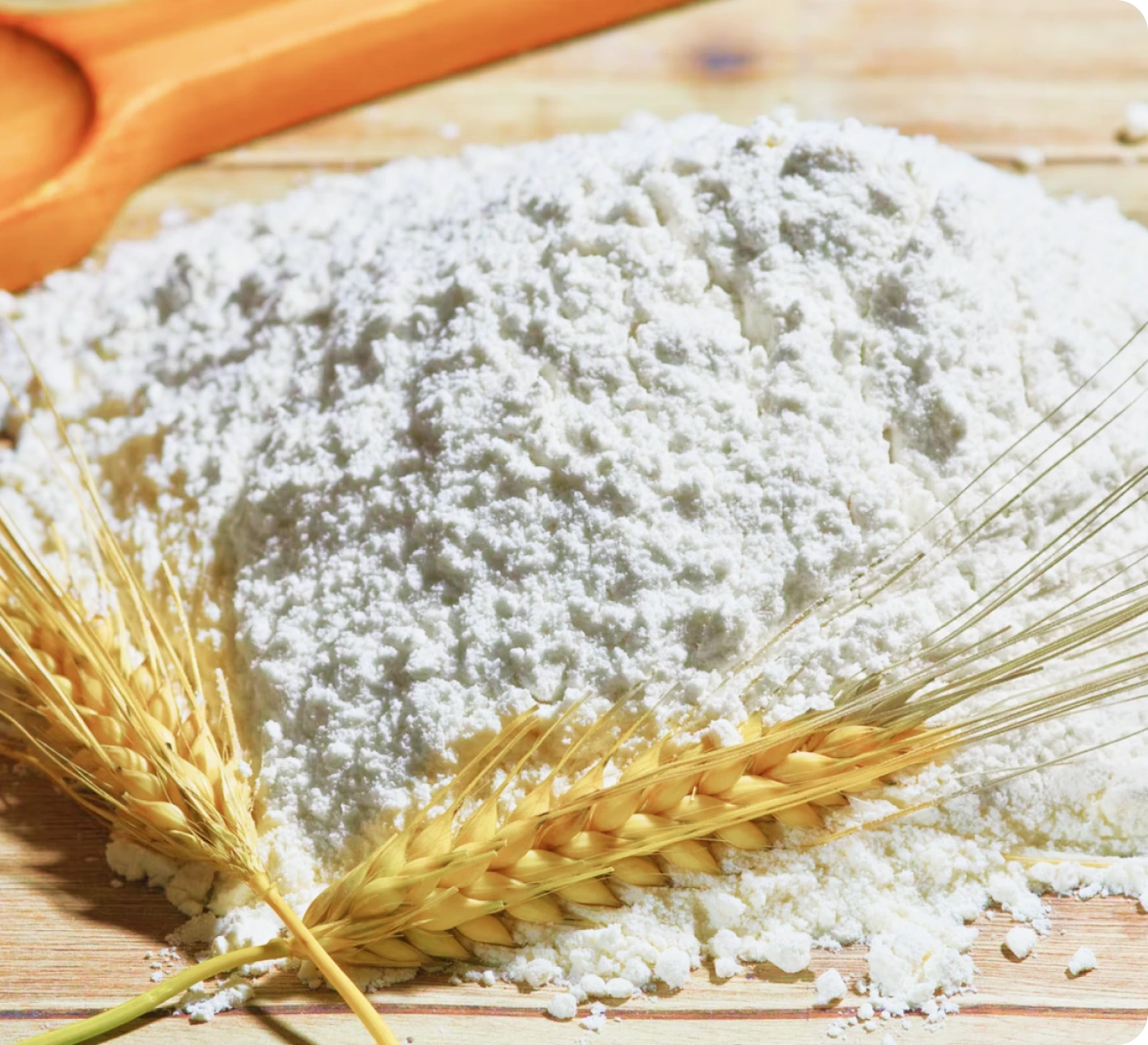 Sriboga Flour